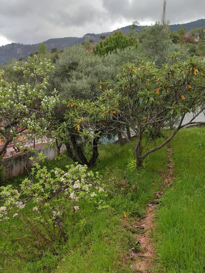 NívarCasa Jabero别墅 外观 照片
